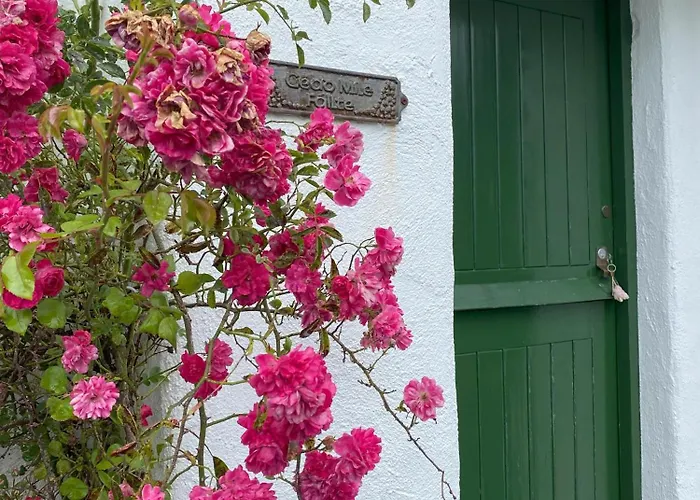 Holiday home Cosy Donegal With Panoramic Sea Views *